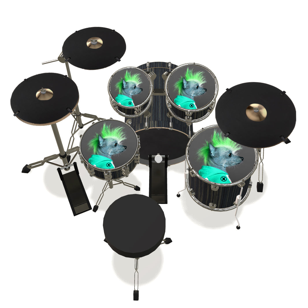 Drum Set Snare Pad & Mute